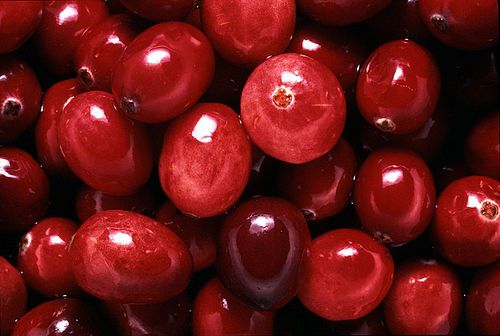 Cranberry Infused Vodka