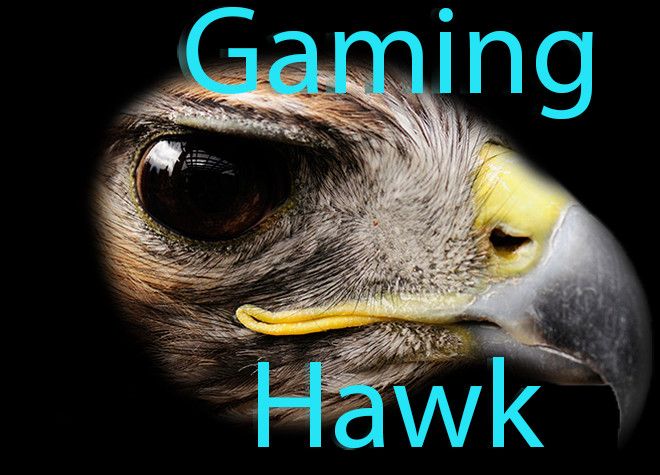 Gaming Hawk