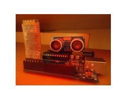 AUTONOMOUS PLASTIC TRASH DISPOSALDRONE  -THE TRASH-BOT