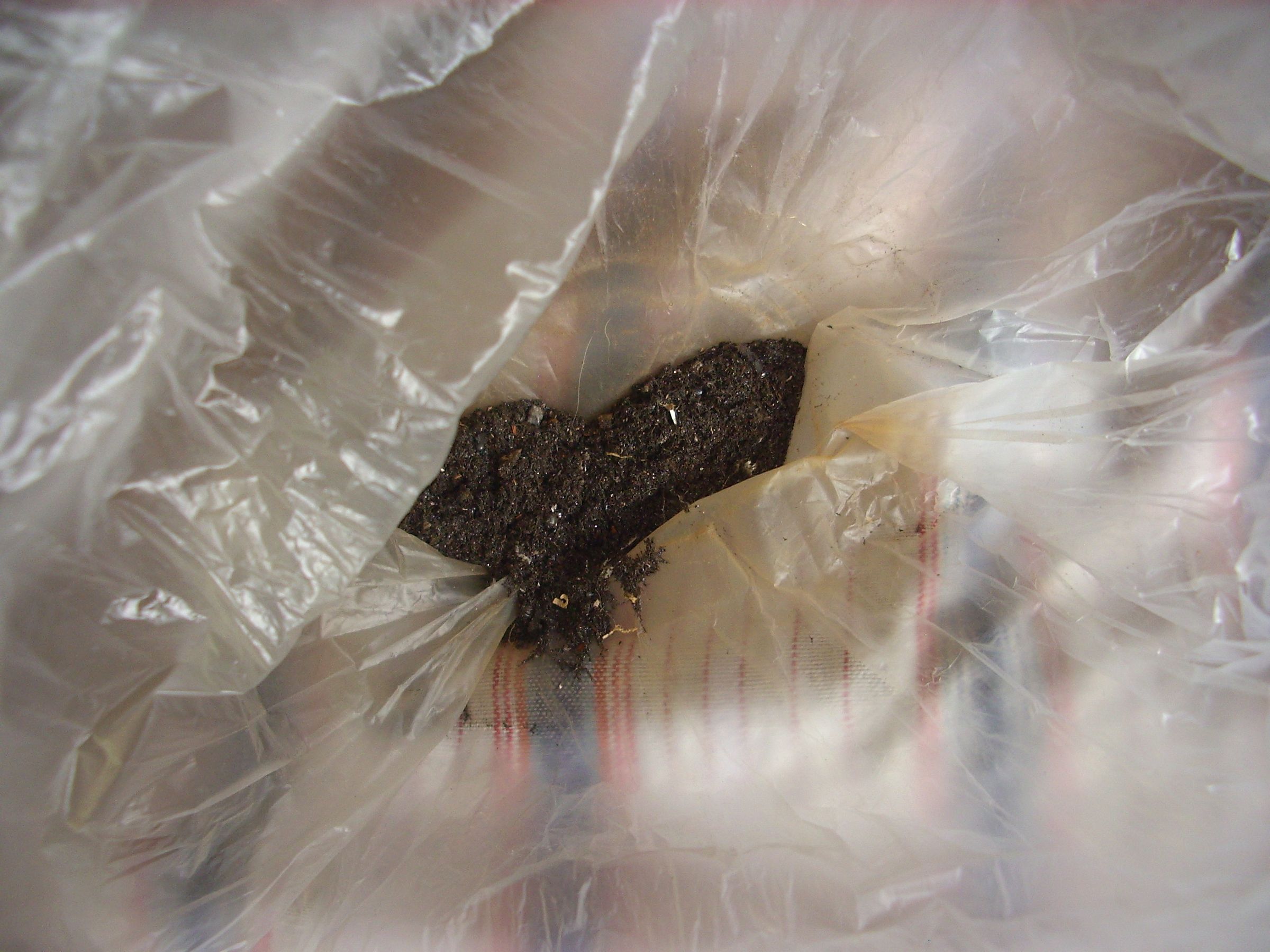 Cosechando Limaduras De Hierro (harvesting Iron Filings) 5 Steps