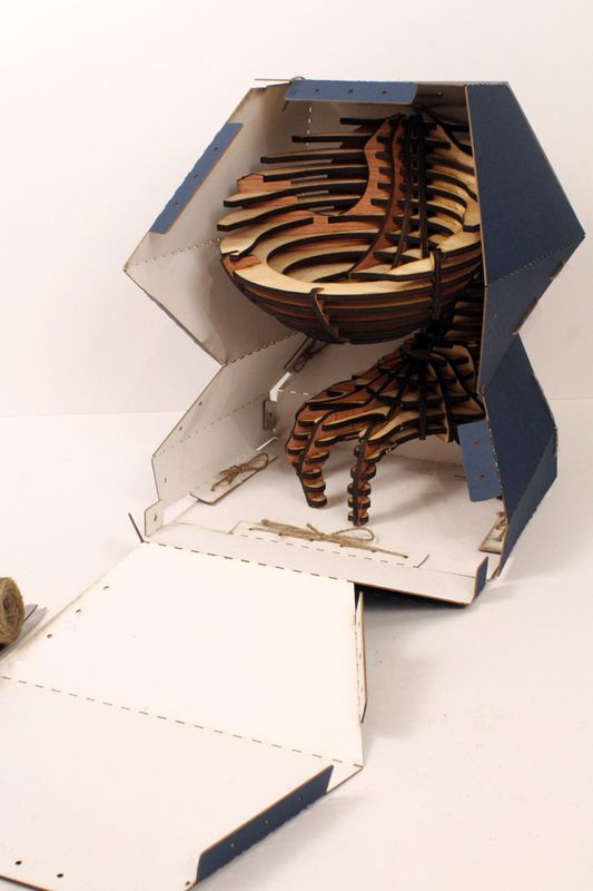 Computer Assisted Gift Wrapping