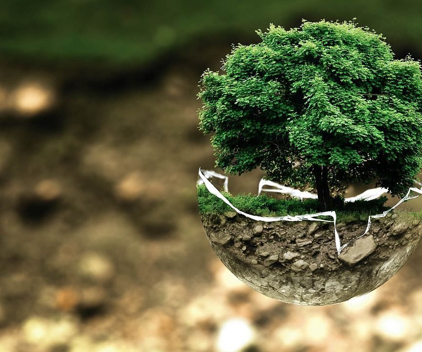 How to Help the Environment