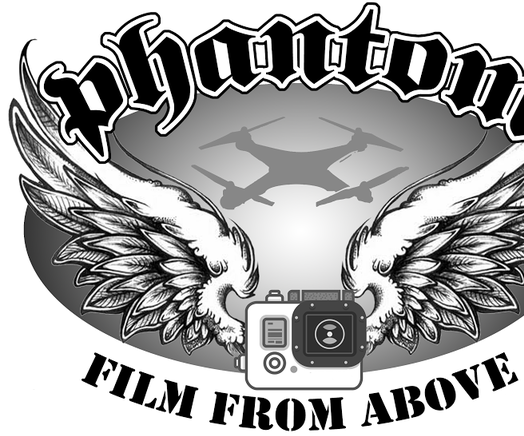 Custom Fit Drone Case (DJI Phantom), Quadcopter Carrier