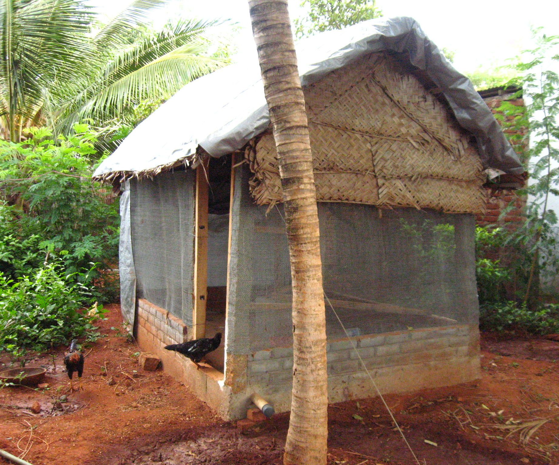 Turn Your Weeded Patch in the Garden Into a Chicken Coop