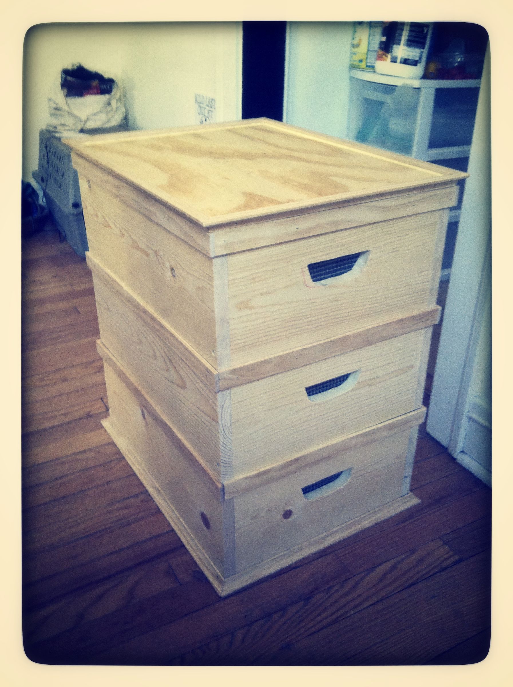 A Worm Bin for Apartments