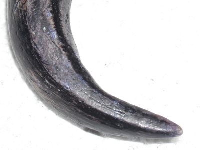 Fake Gator Tooth Necklace