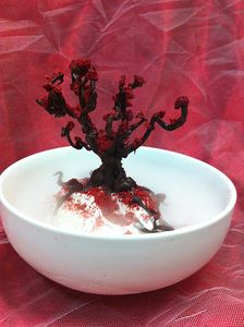 Chocolate Raspberry Tree