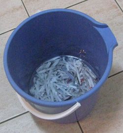 Paper Seeds