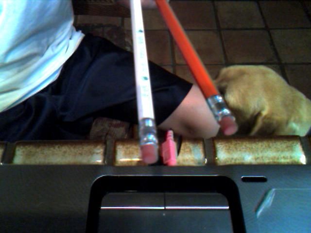 Pencil Crossbow. DANGEROUS!