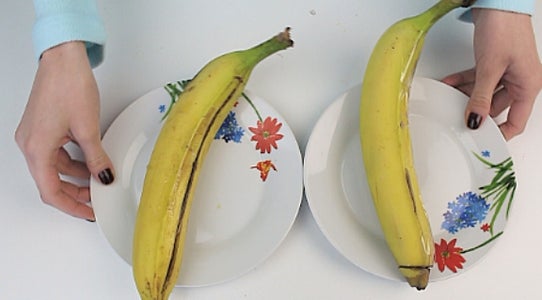 Put in Refrigerator for 20 - 30 Minutes!