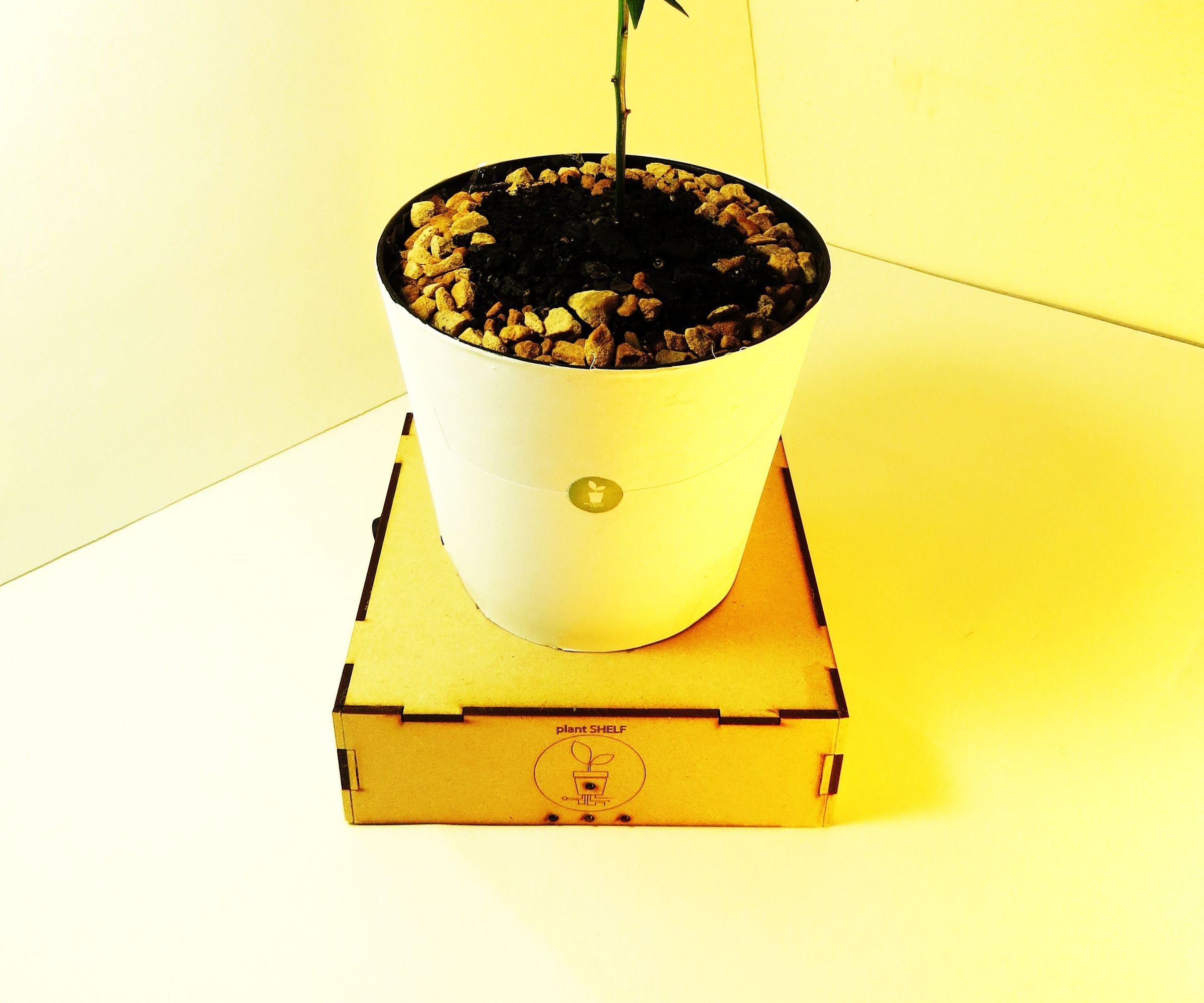 The Plant Shelf Basic