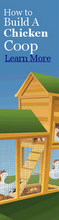 How to Build a Chicken Coop - Make a Chicken House