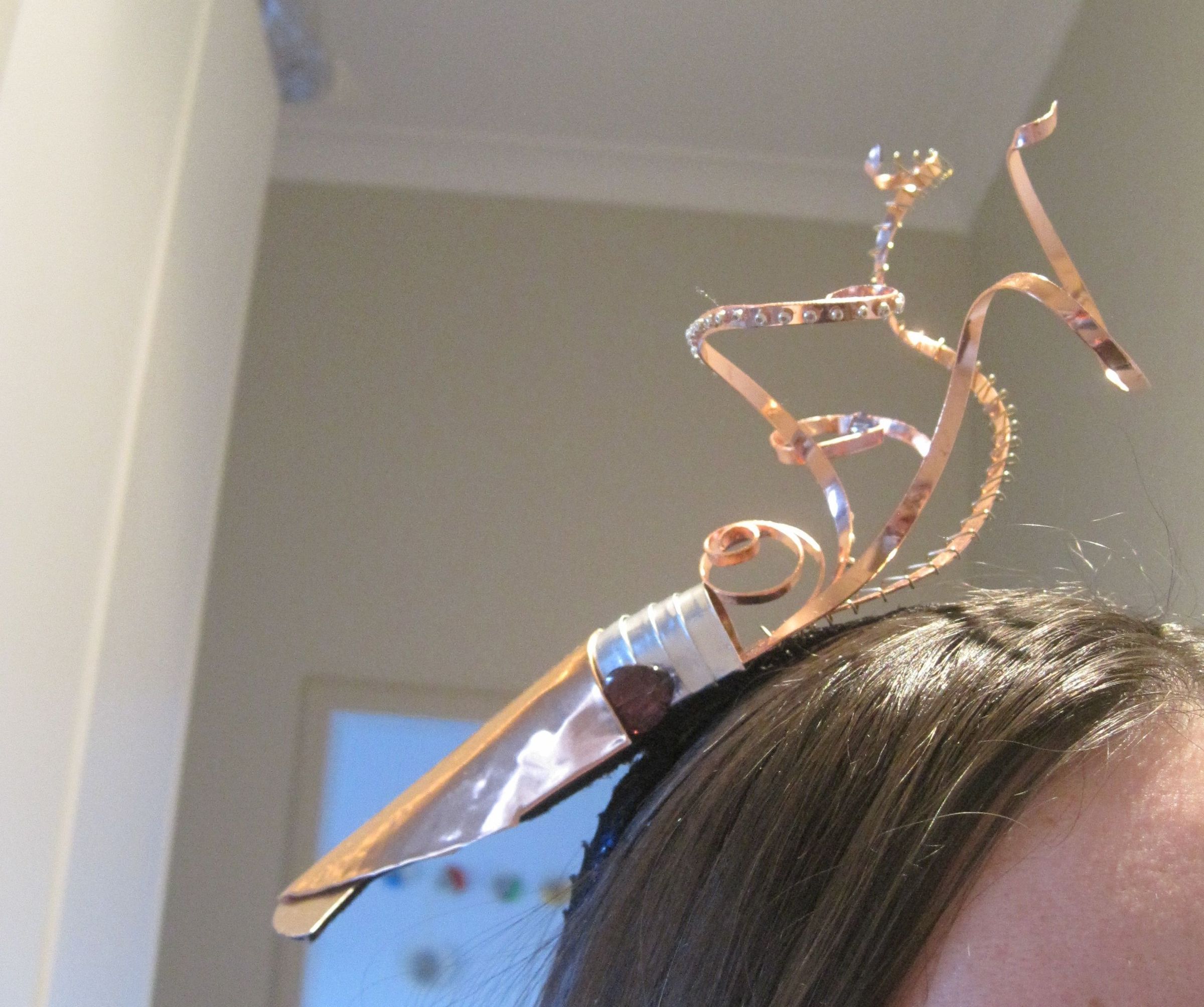 The Facinating Squid