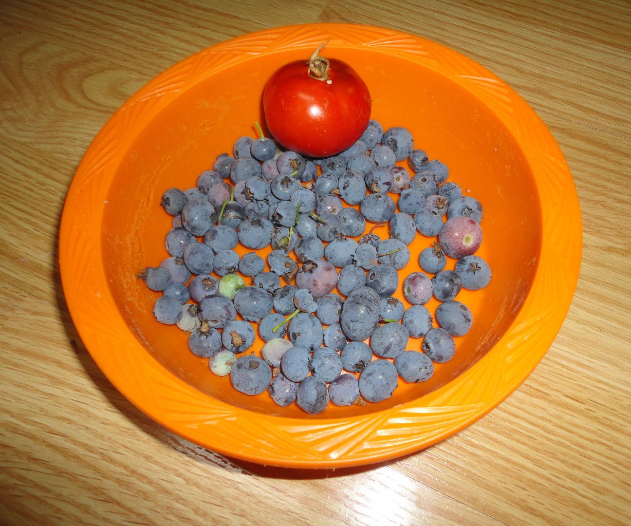 Campfire Foil Meal