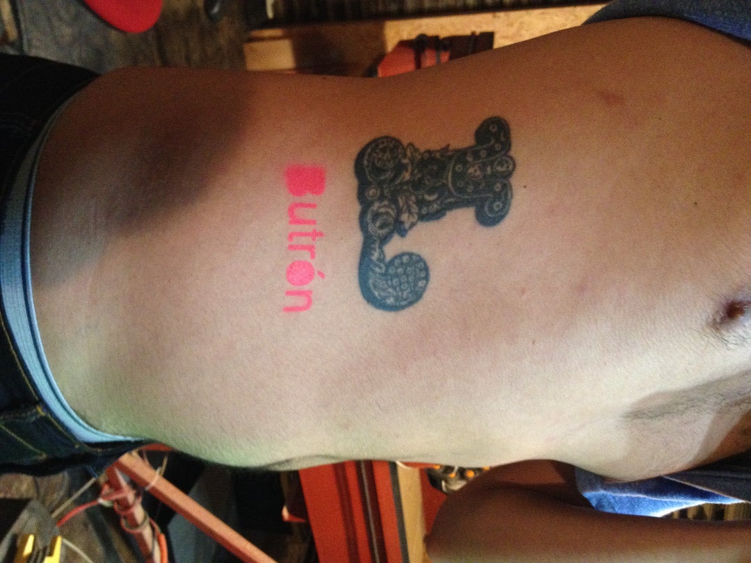 El Abdomen