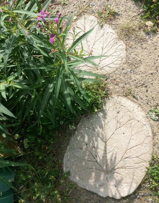 Rhubarb Leaf Stepping Stones
