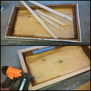 Insect Collection Case and Introduction to Entomology : 8 Steps (with ...