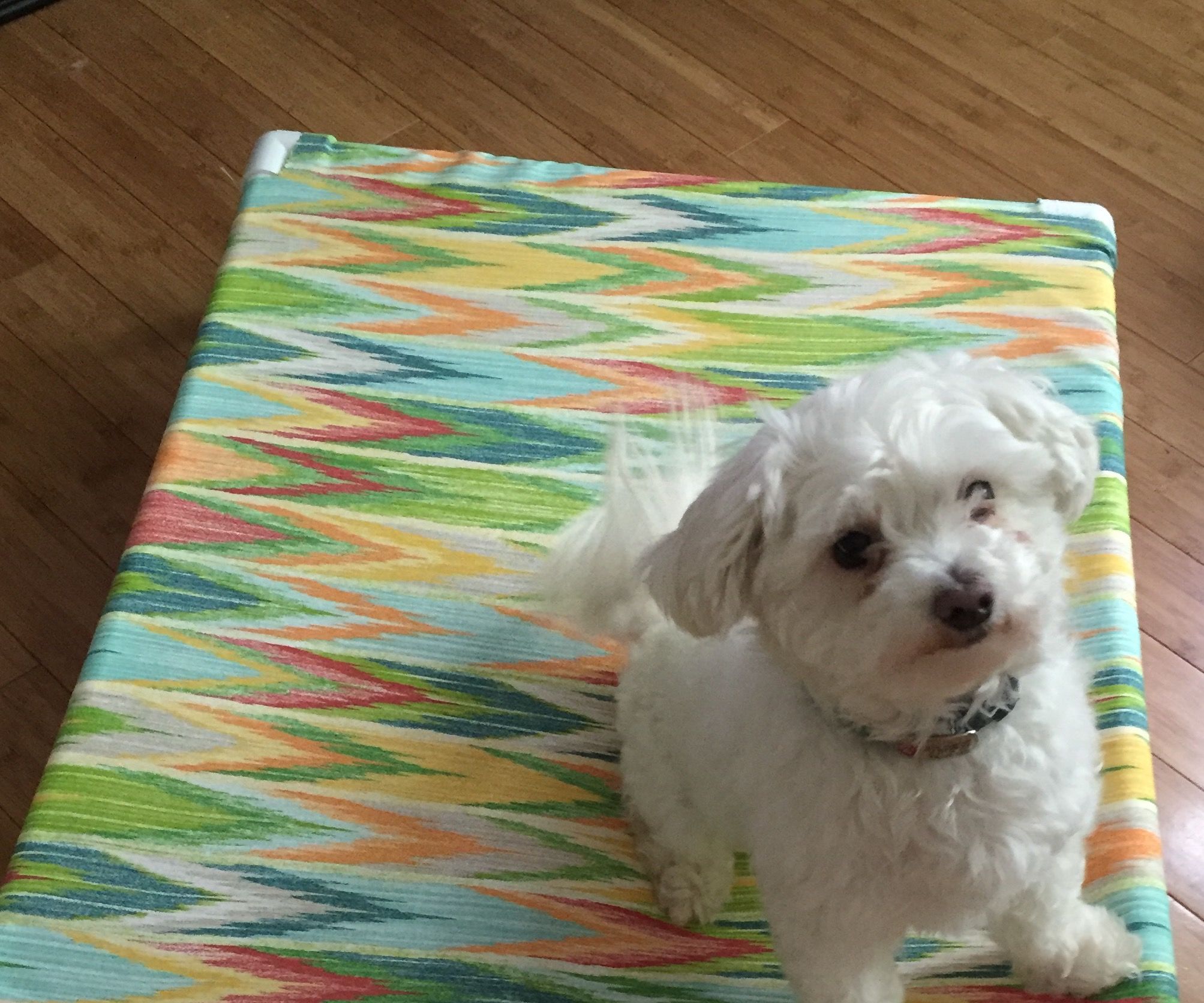 DIY Take-Apart Washable Dog Bed