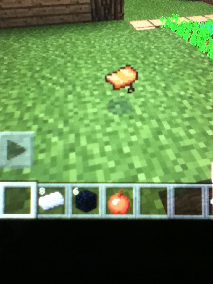 Pig Saddle Seed and Obsidian