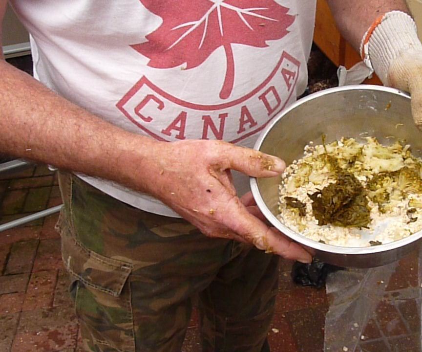 Raw Green Tripe Diet for Healthier Dogs and Cats. BARF Feed Natural 