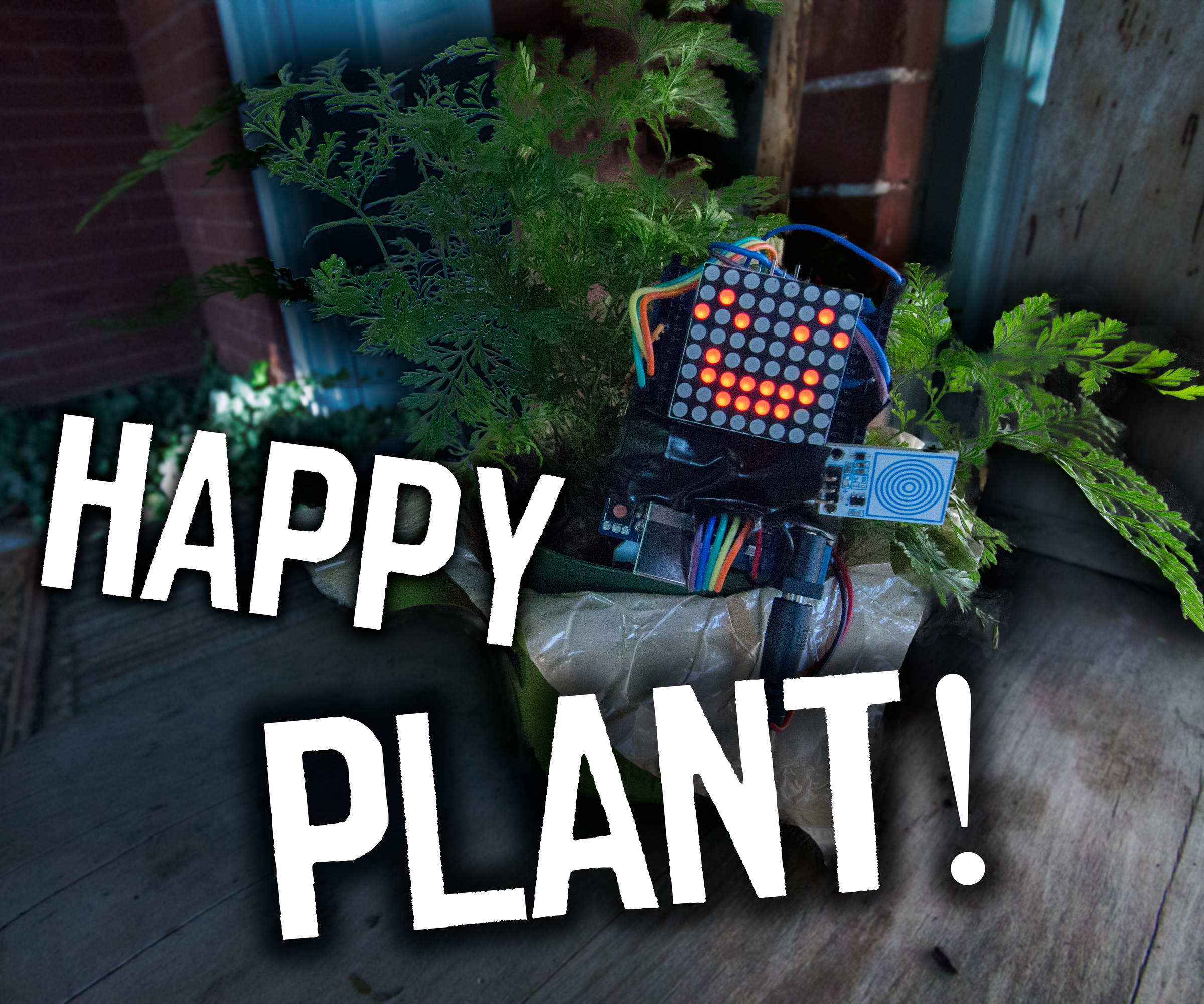 The Artificial Plant Emotion Expressor (A.P.E.X.)