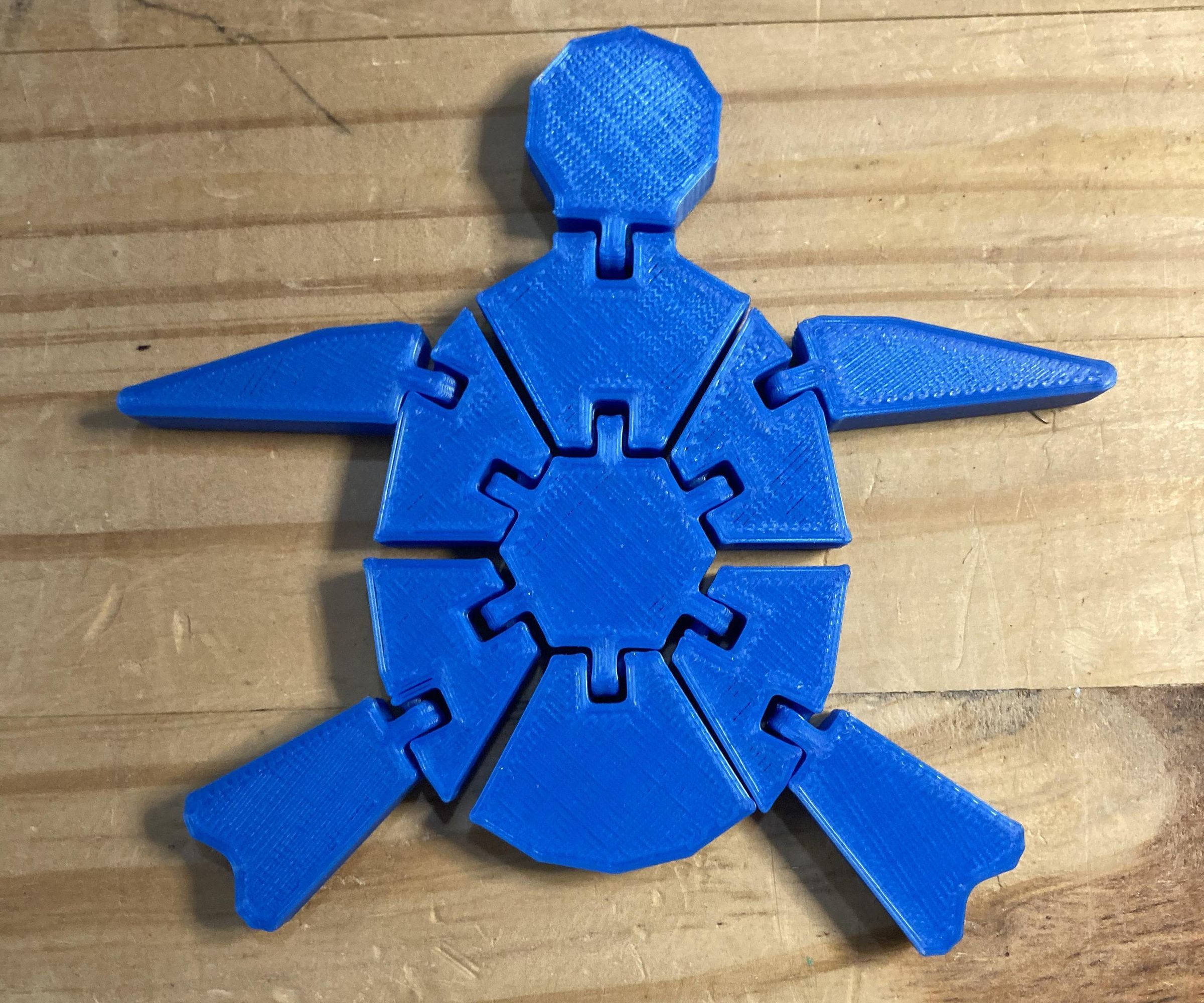 Articulated Turtle Fidget Toy