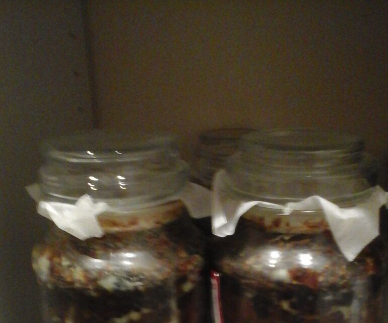 Sweet Mince (or Christmas Mincemeat)