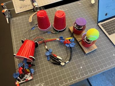 Simple Solo Cup Adaptive Controller