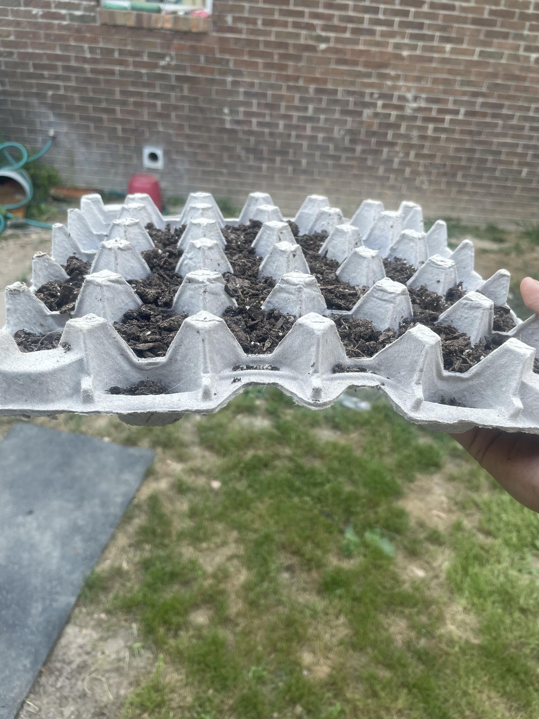 Egg Carton Plant Bed 4 Steps Instructables