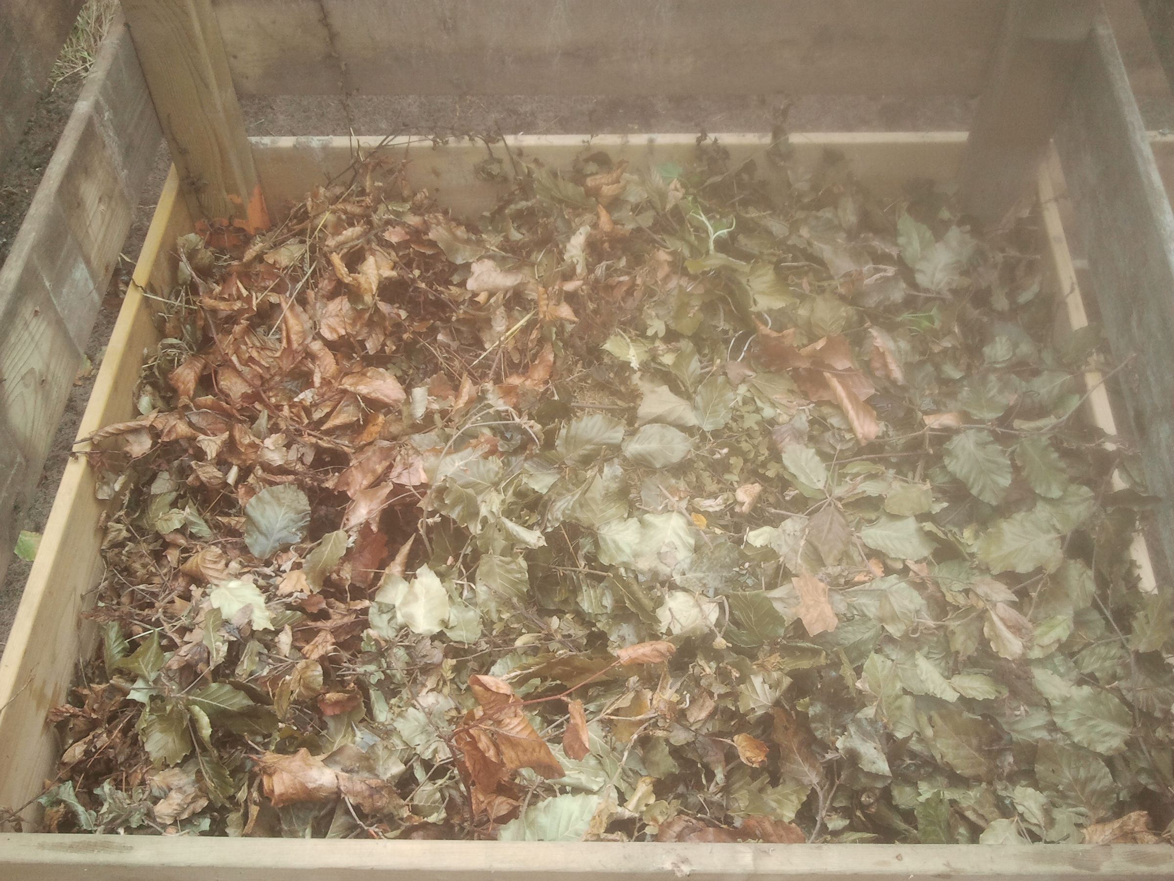 Compost