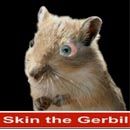 Gerbil - a Yo-yo Trick Along With "Skin the Cat"
