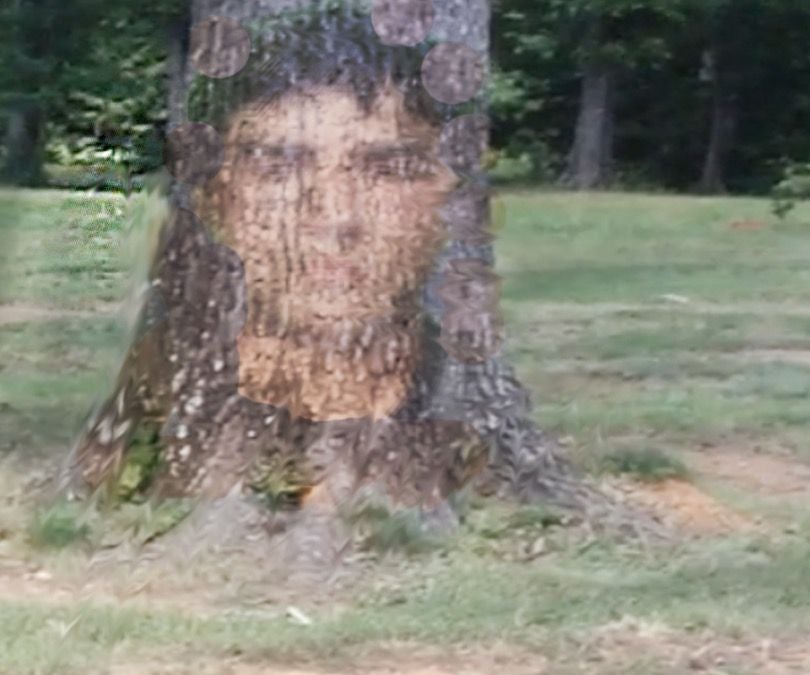 Tree Me the Great and Powerful 5 Steps Instructables