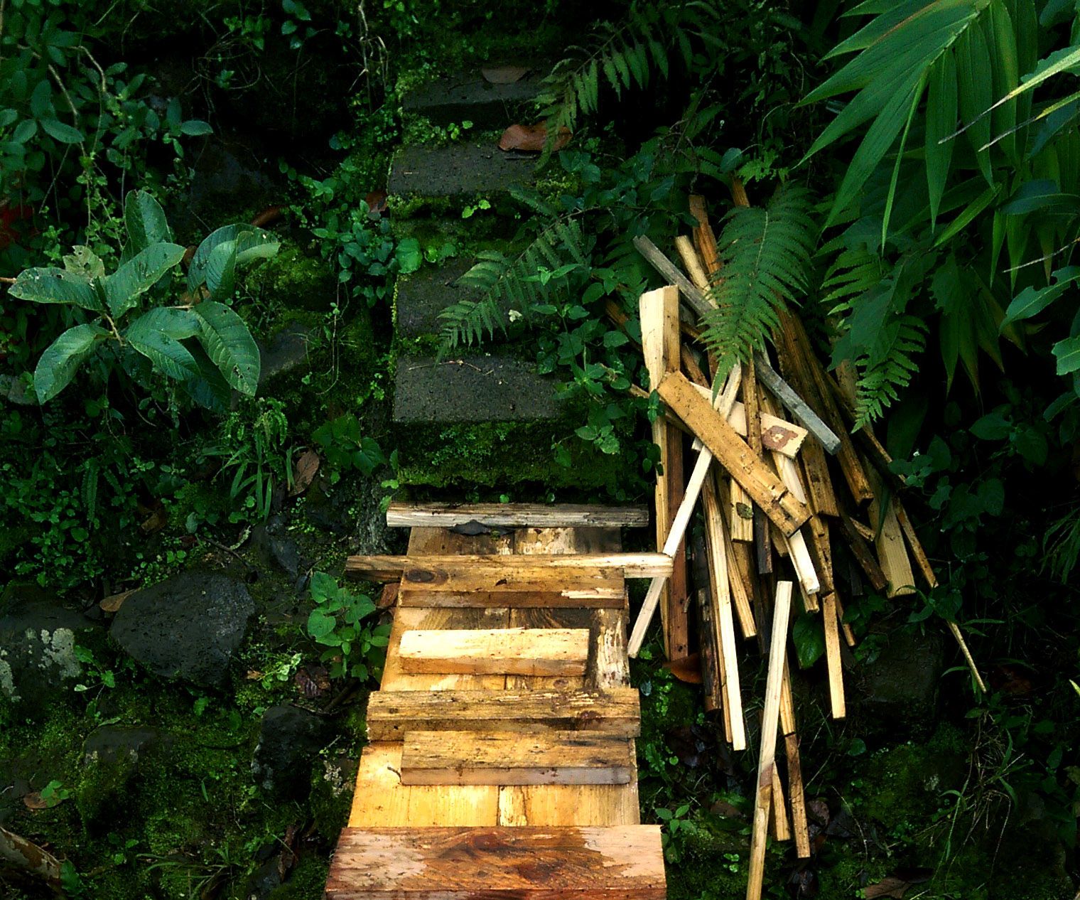 Ramp/Bridge