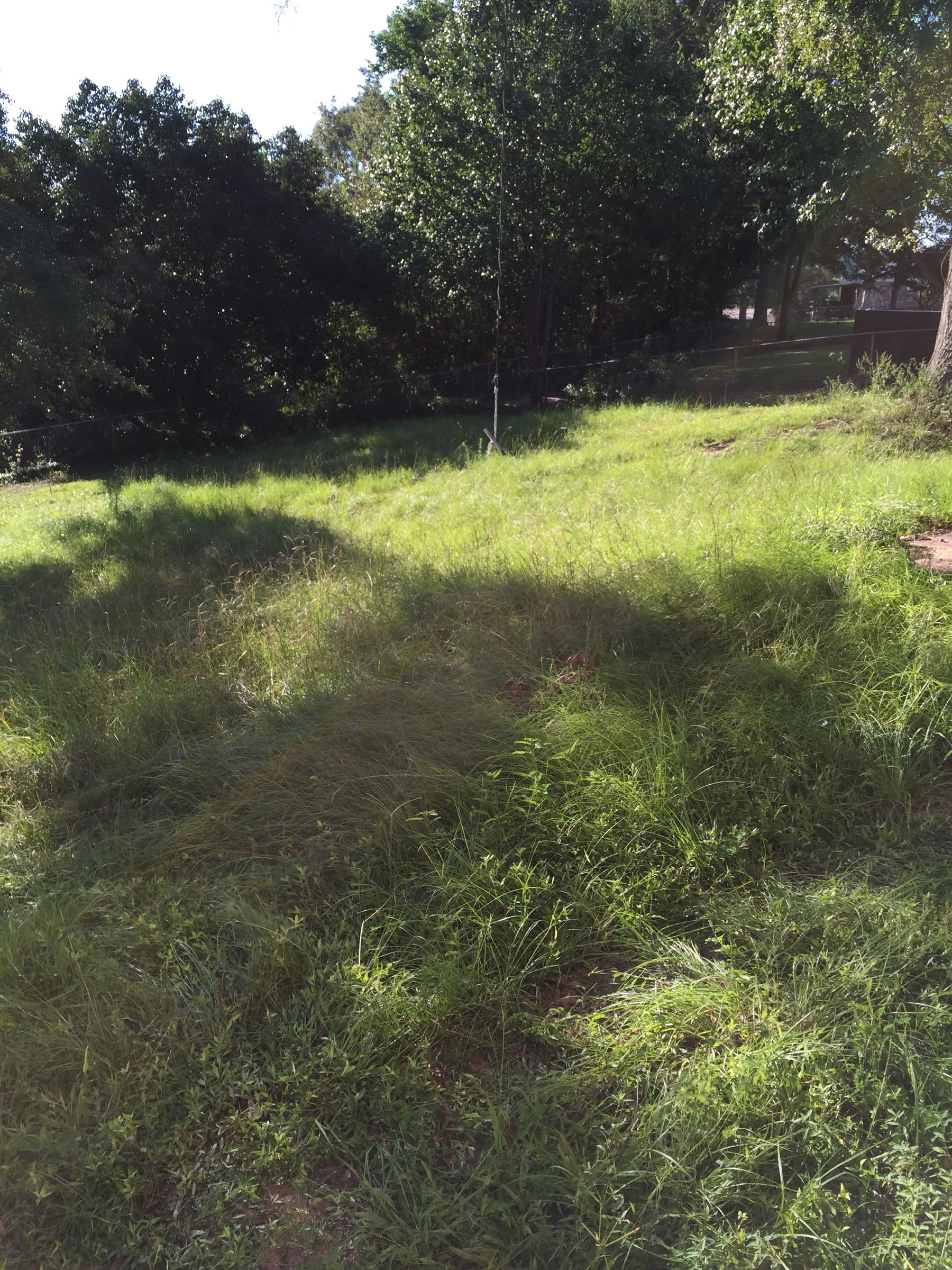 Southern Gnats / Mosquito Repellant