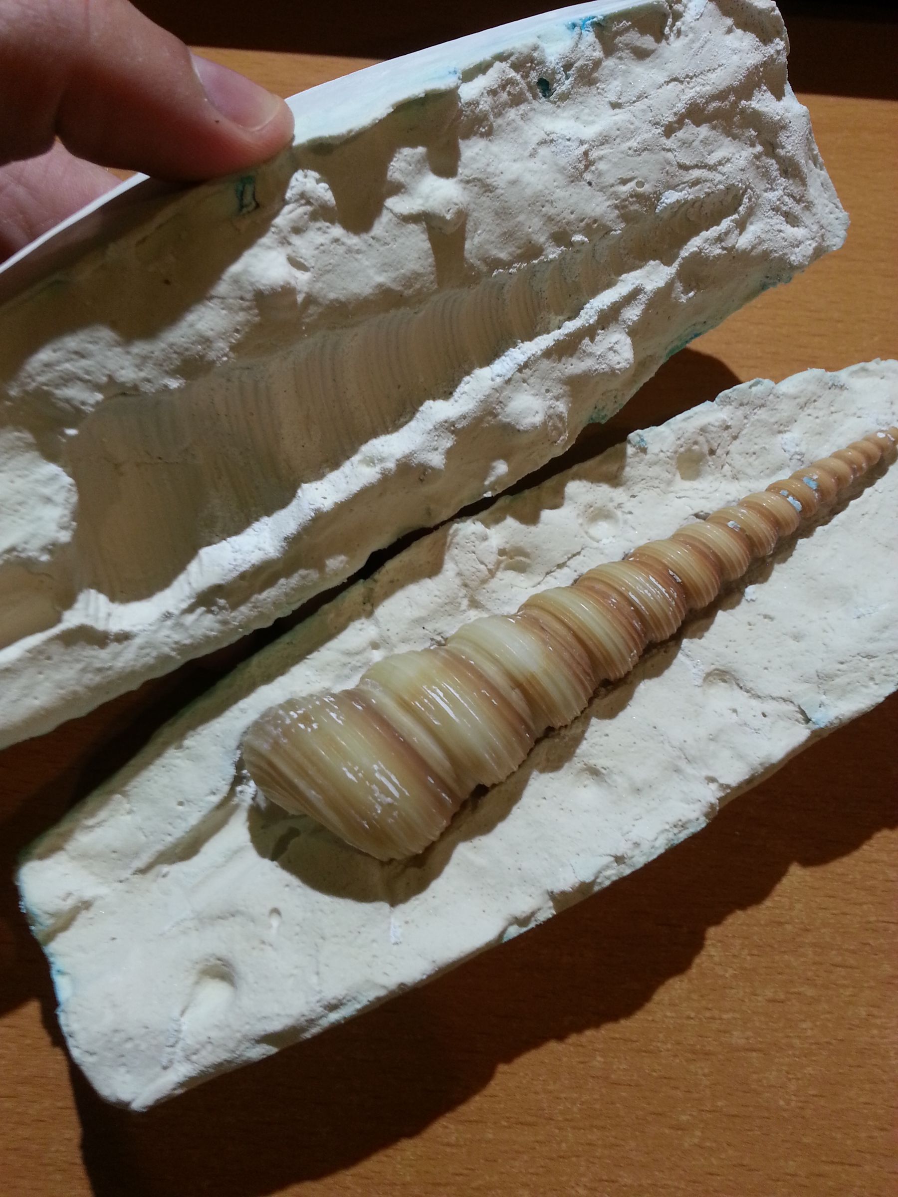 Make a Two Part Reusable Mold Using Plaster