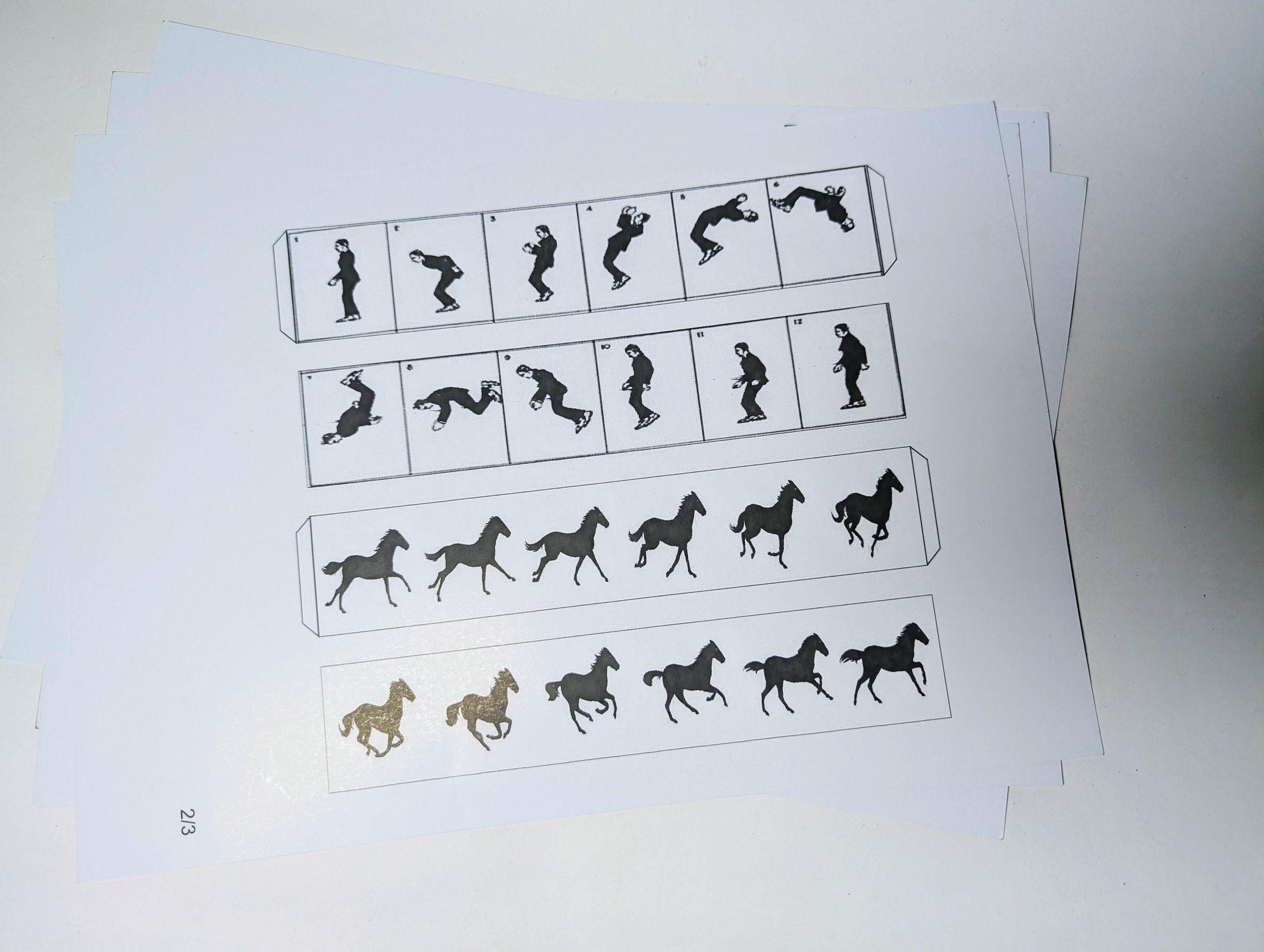 The "Software" – 12-Frame Animation Strips