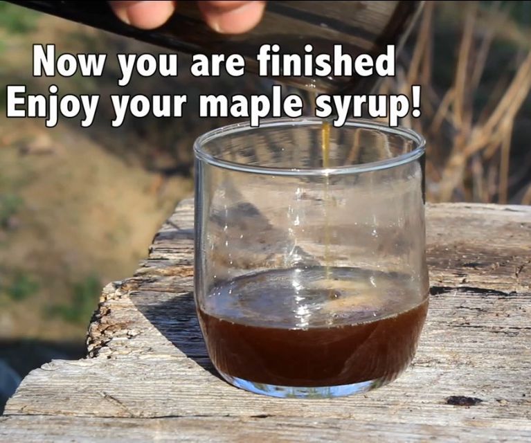 How to Make Maple Syrup
