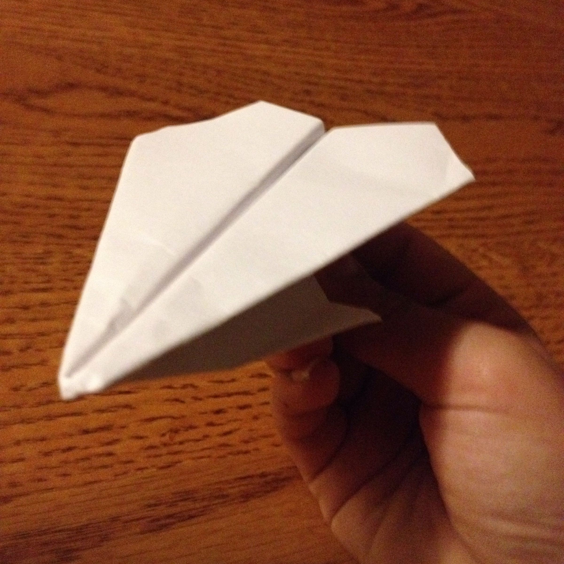 Paper Plane: the Derp Plane