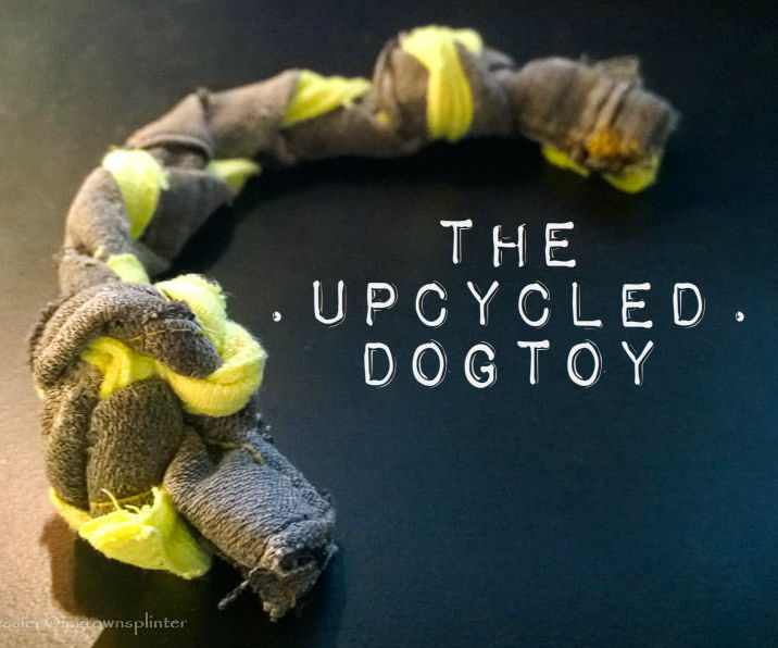 The Upcycled Dog Toy