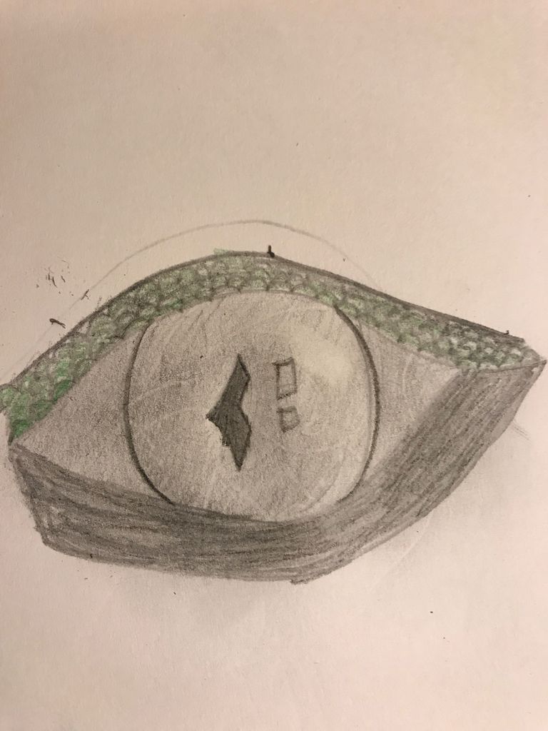 The Original Dragon Eye Steemit