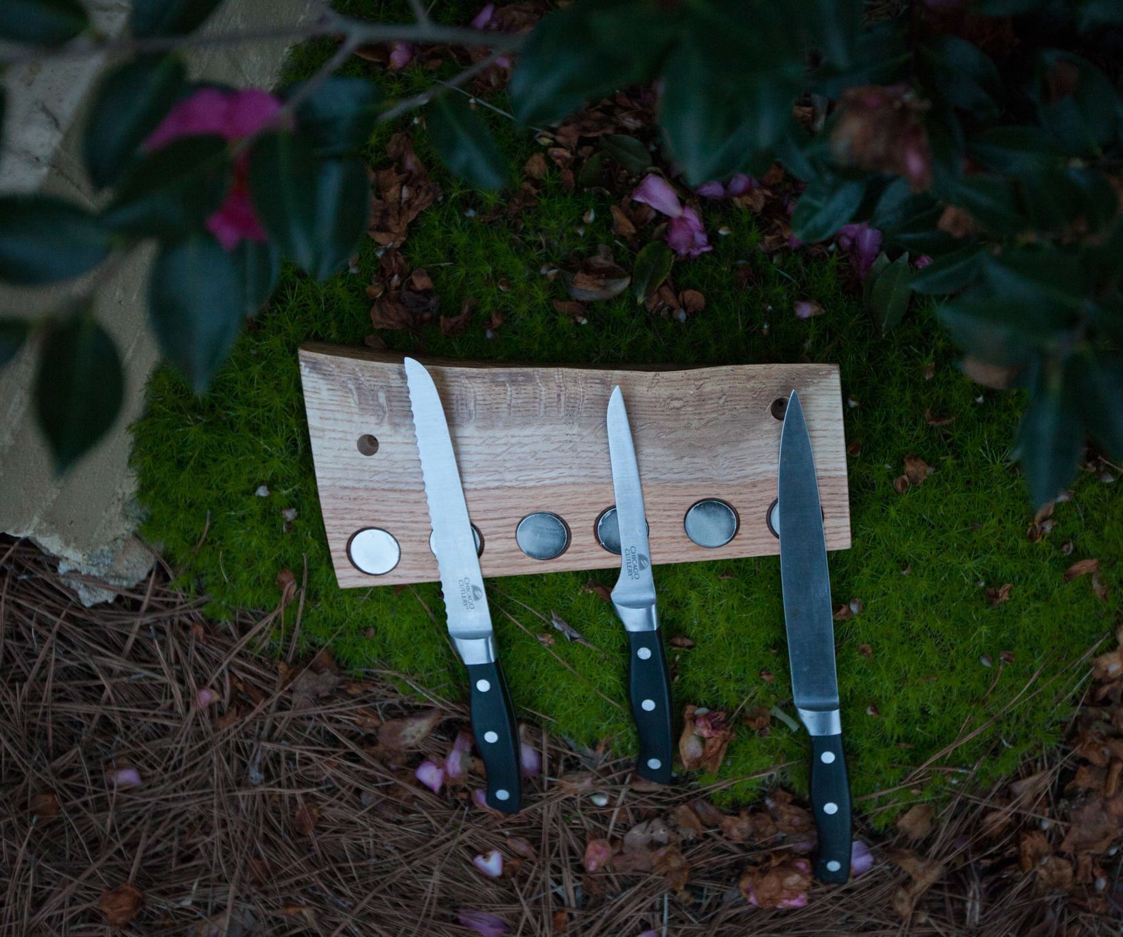 Live Edge Knife Holder From Firewood