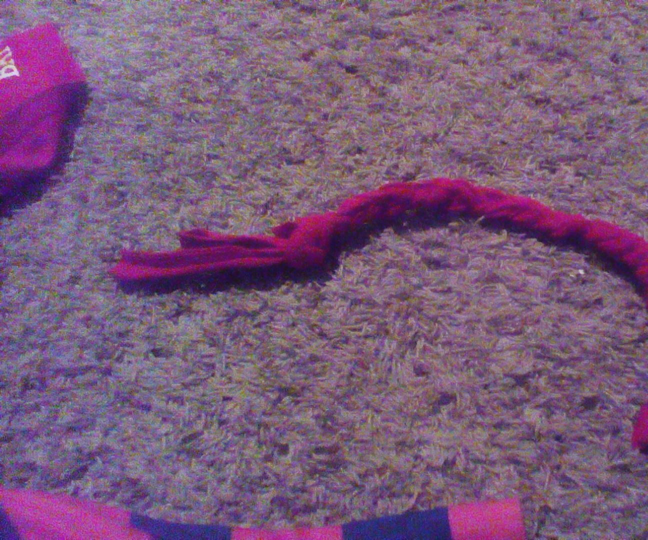 DIY Dog Braided Rope Toy