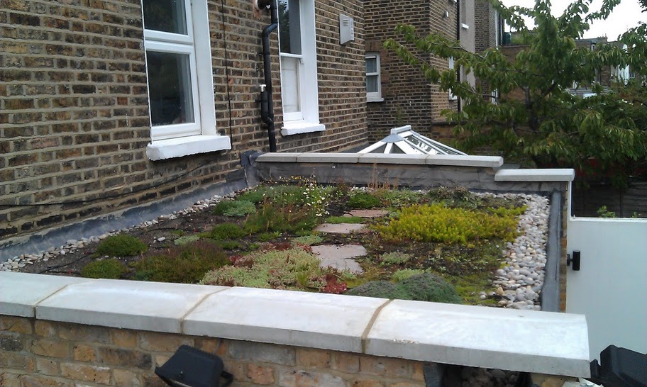 Build a Living Roof / Green Roof