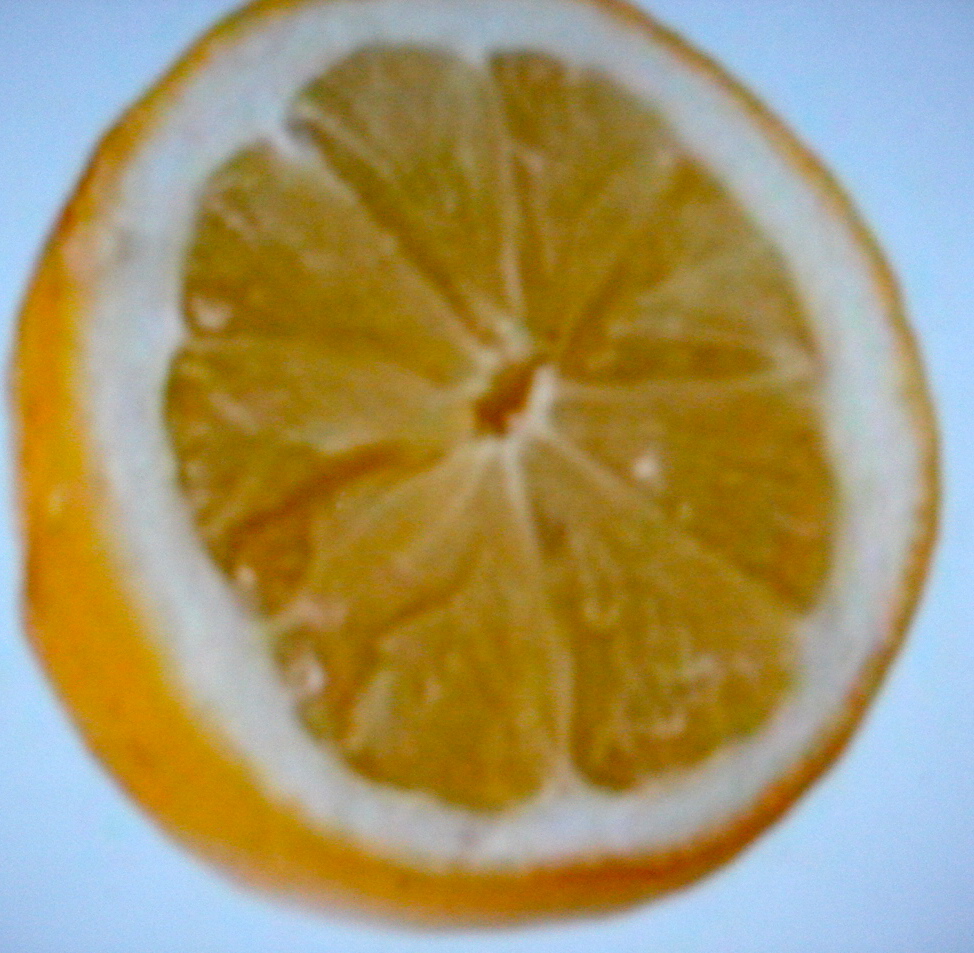 Lemon Battery
