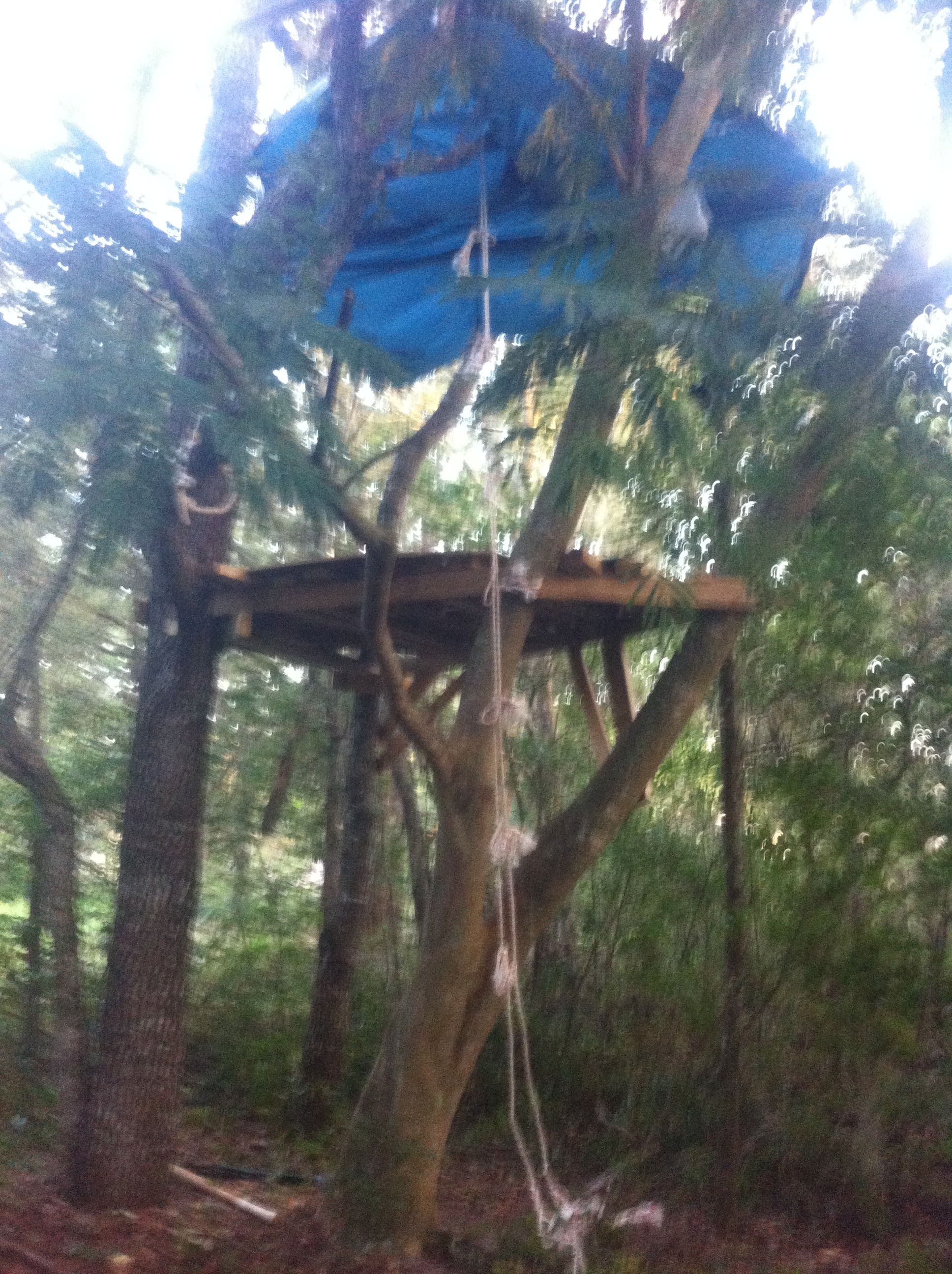 How To Build A Treehouse