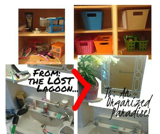 Organize Your Bathroom Quick & Cheap!