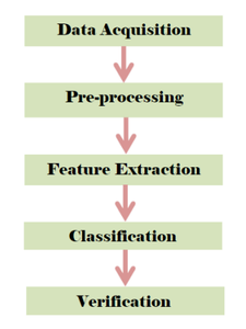 Model Architecture