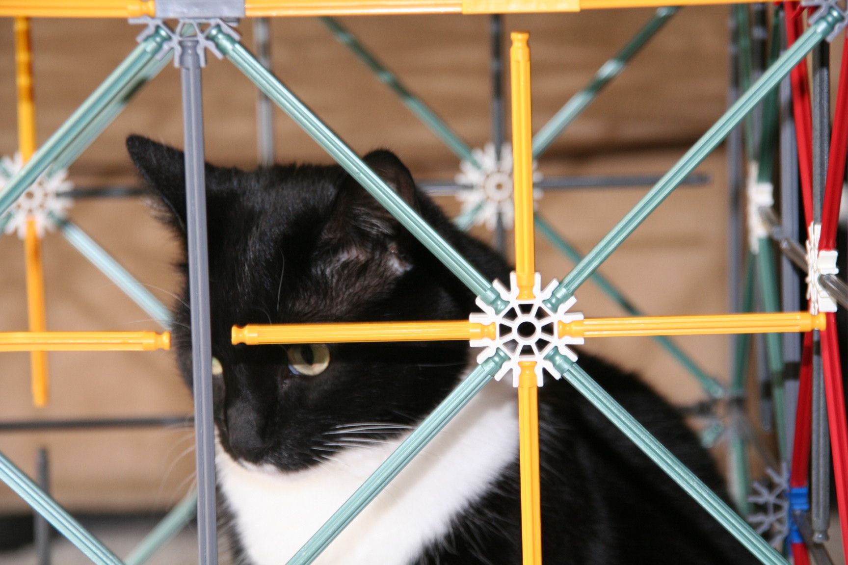 K'nex Cat Jail
