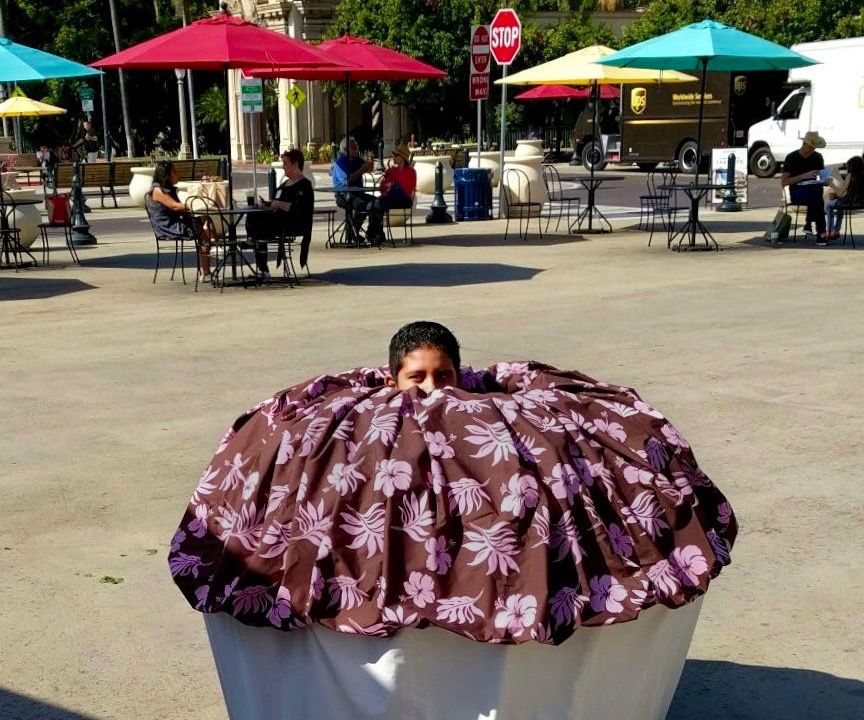 Tricycle Cupcake Car