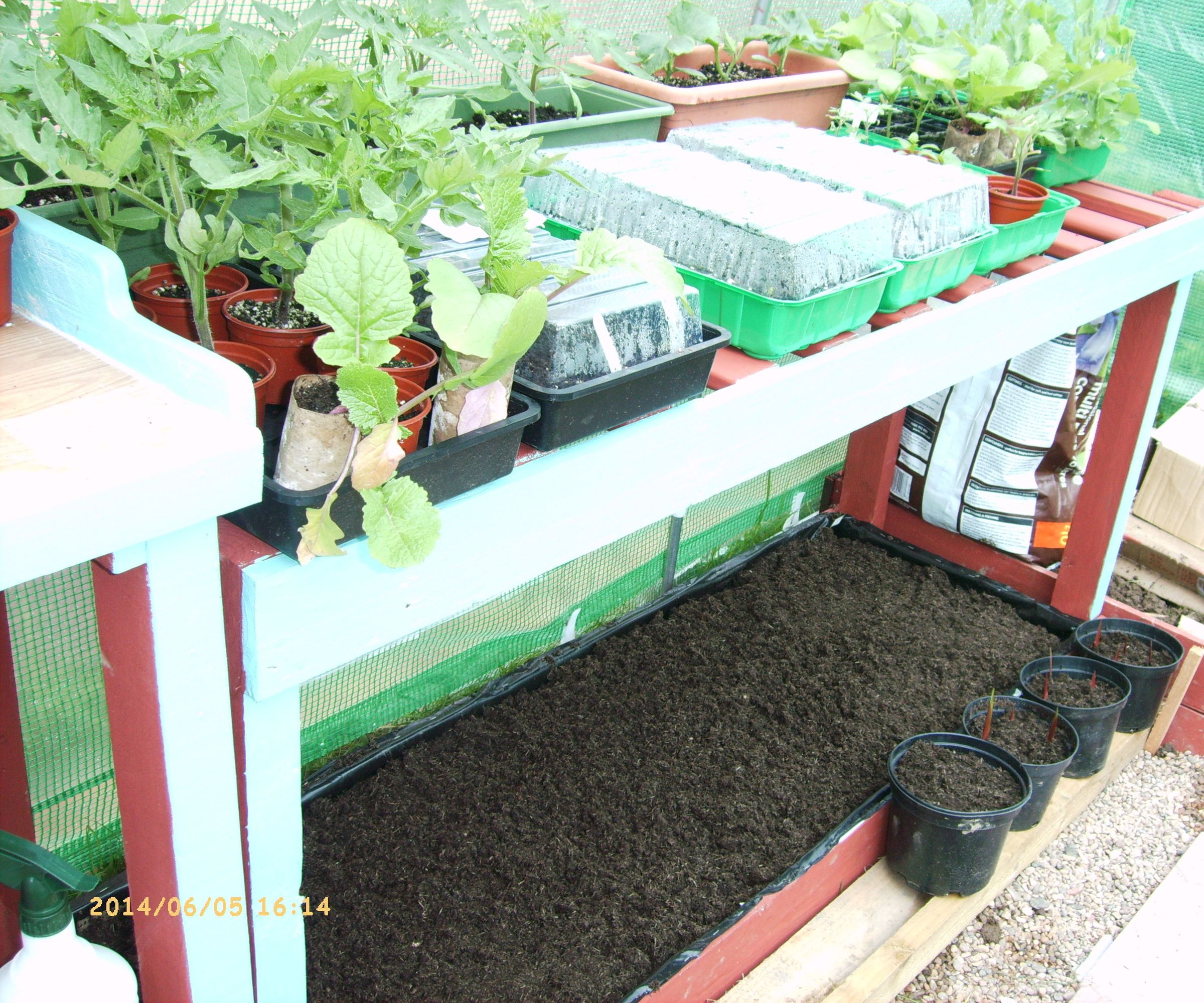 Raised Salad Bed